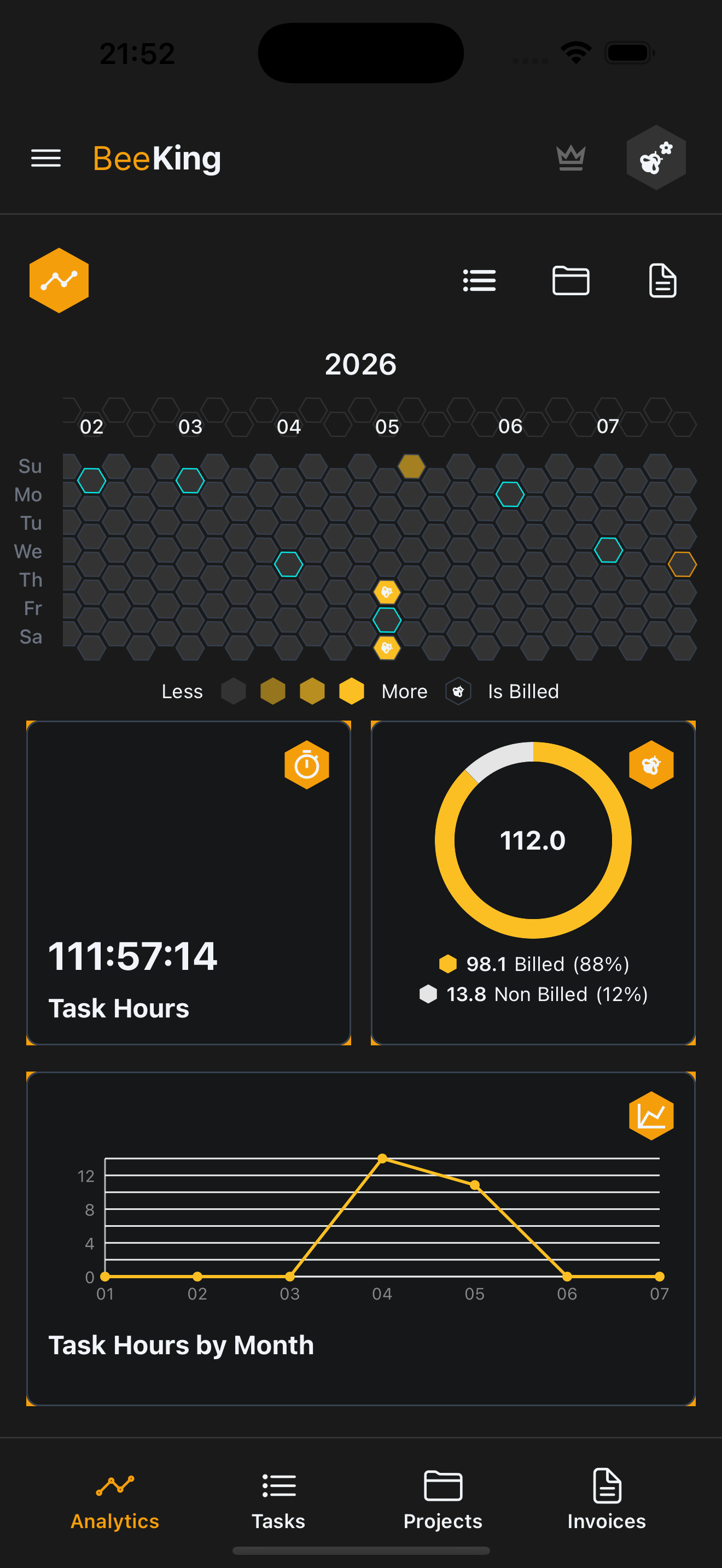 Analytics: hexagon and circle charts for hours and invoice status.