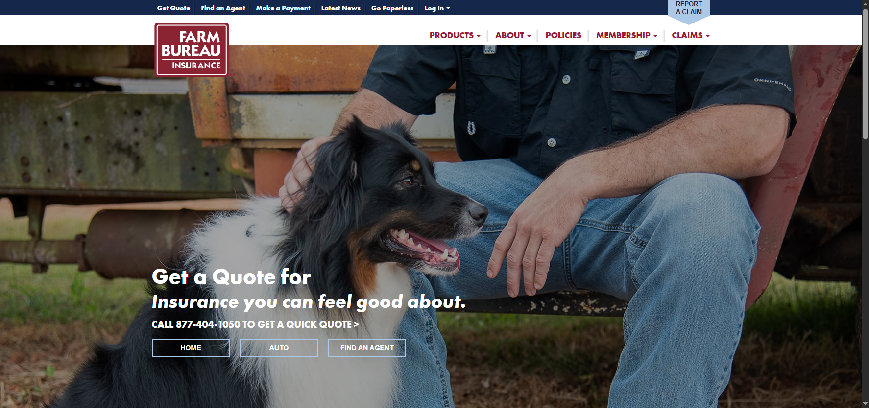 gfbinsurance.com preview